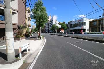 敷地南側の前面道路。片側二車線で交通量の多い通りです。