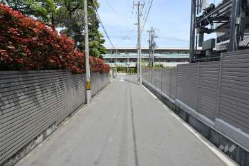 敷地北側の前面道路（西側から）