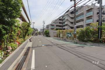 敷地東側の前面道路（北側から）
