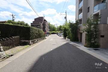 敷地東側の前面道路（北側から）