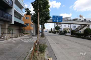 敷地の東側前面道路（県道225号名古屋東港線）