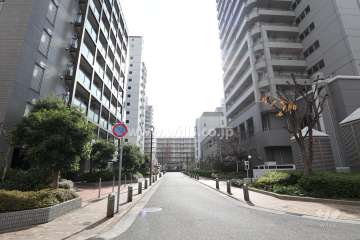 敷地西側の前面道路（北側から）