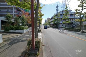 敷地西側の前面道路（北側から）