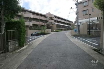 敷地南東側の前面道路（北東側から）