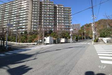 敷地東側の前面道路