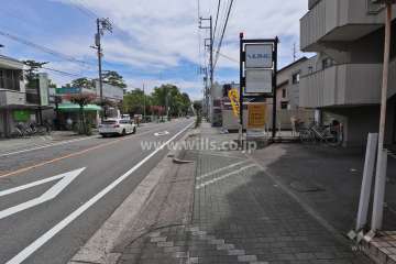 敷地北側の前面道路（西側から）
