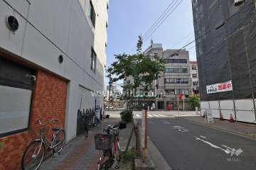 敷地西側の前面道路（北側から）