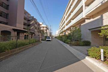 敷地南側の前面道路（東側から）