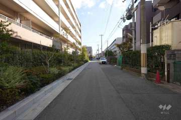 敷地南側の前面道路（西側から）