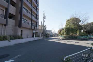 敷地西側の前面道路（北側から）