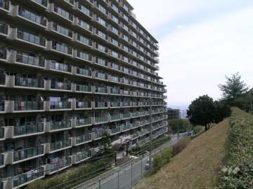 敷地西側には『中山中央公園』が広がっています。
