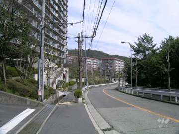 敷地南側の前面道路