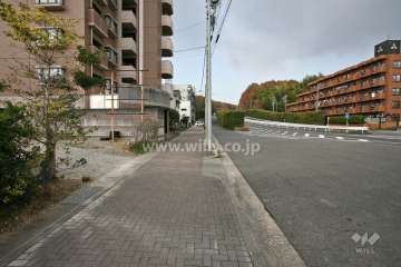 敷地北側の前面道路(東側から)