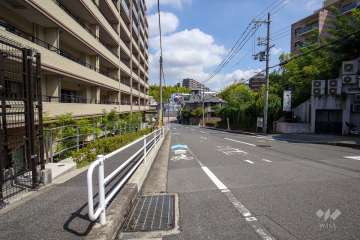 敷地東側の前面道路（南側から）