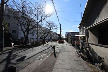 敷地西側の前面道路（北側から）
