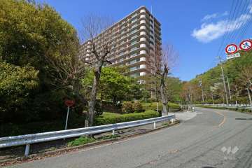 敷地北側の前面道路（南東側から）