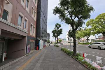 敷地東側の前面道路（南側から）