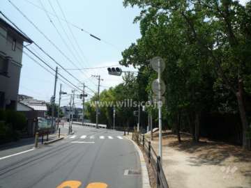 敷地北側の前面道路。道を挟んで緑地が広がっています。