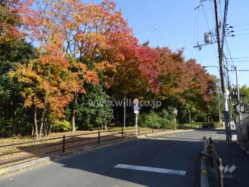 紅葉の季節は綺麗です。