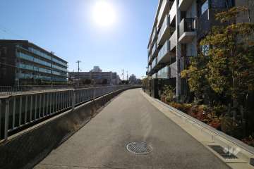 敷地南東側の前面道路（北東側から）