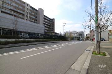 敷地北側の前面道路