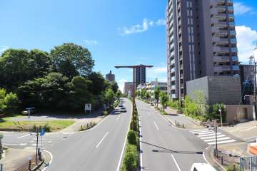 敷地東側の前面道路（山手グリーンロード）
