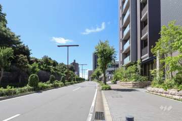 敷地東側の前面道路（山手グリーンロード）