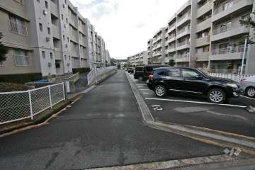 敷地南東側の前面道路（北東側から）