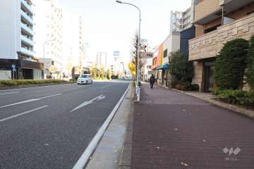 敷地北側の前面道路(西側から)