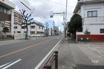 敷地北側の前面道路（西側から）