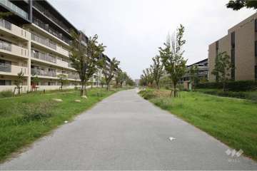 敷地北東側通路（北西側から）