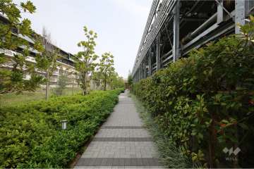敷地北東側通路（北西側から）