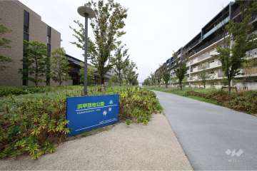 敷地北側は公園に隣接しています。