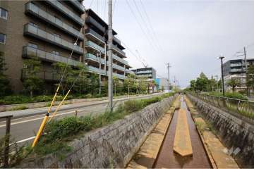 敷地南東には枝川が流れています。