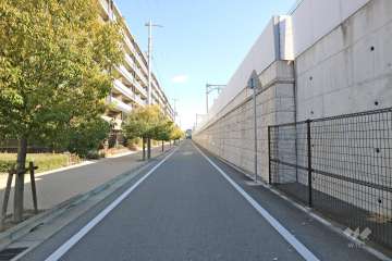 敷地東側の前面道路（北側から）