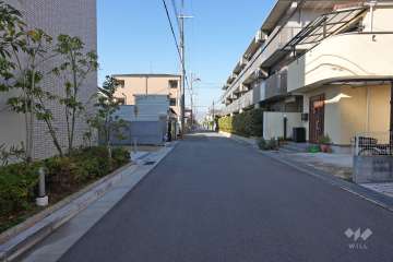 敷地北東側の前面道路（東側から）