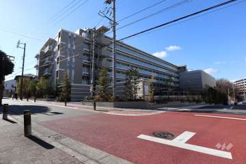 敷地北側の前面道路（北東側から）