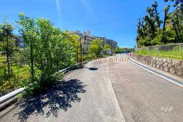 敷地西側の前面道路（北側から）