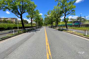 敷地東側の前面道路（南側から）