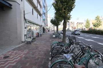 敷地東側の前面道路（南側から）