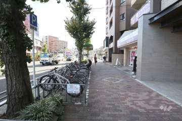 敷地東側の前面道路（北側から）