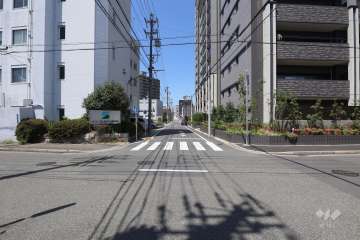 敷地西側の前面道路