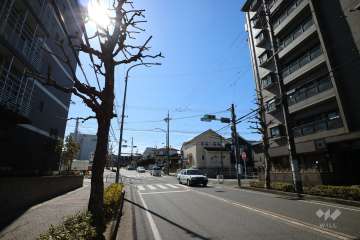 敷地西側の前面道路（北側から）