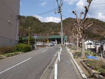 1号棟の東側の道路。周囲を林に囲まれ、自然豊かです。