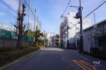 敷地北側の前面道路（西側から）