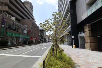 敷地南側の前面道路(東側から)