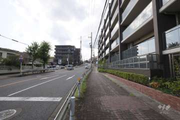 敷地南側の前面道路（東側から）