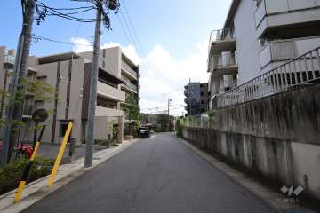 敷地西側の前面道路（北側から）