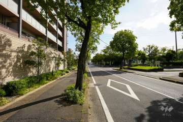 敷地南西側の前面道路