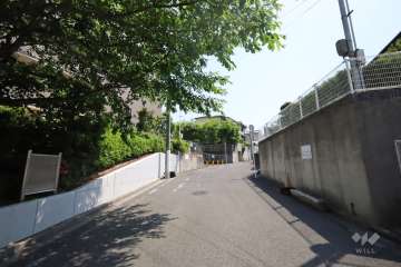 敷地西側の前面道路（北側から）
